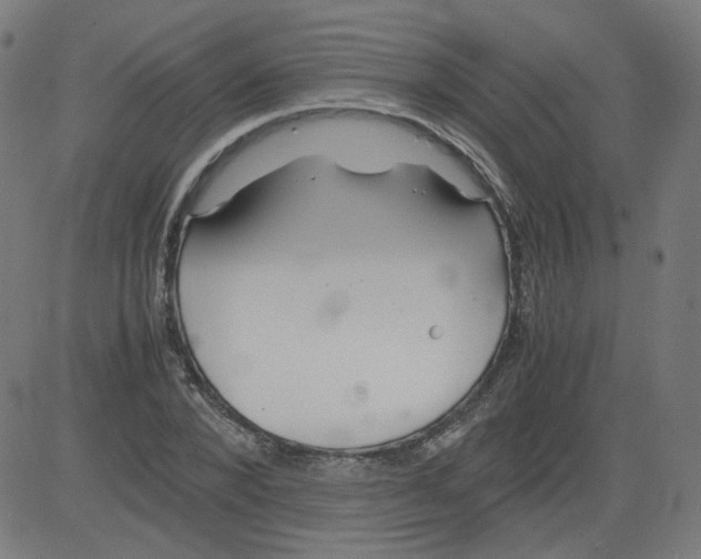 X0000081430880200702092157