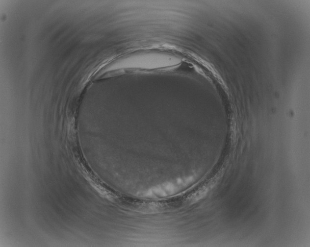 X0000081430881200702092157