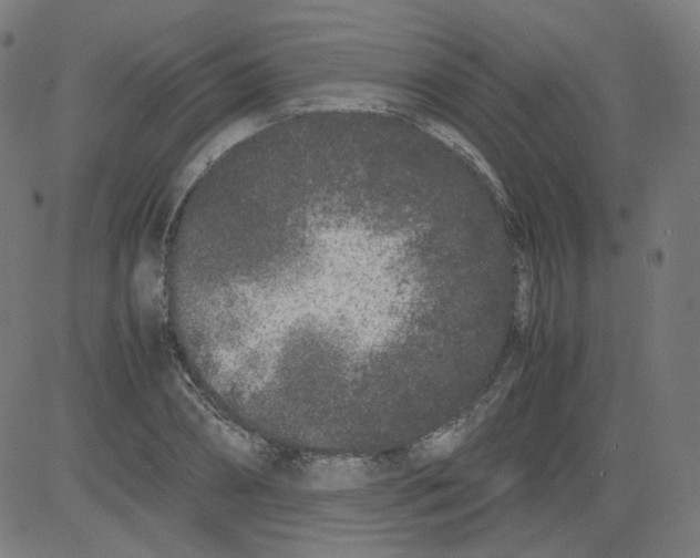 X0000081430882200702092157