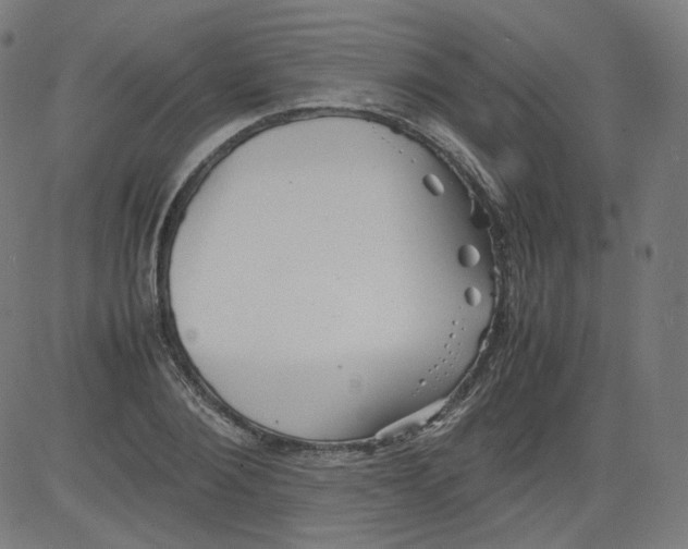 X0000081430884200702092157