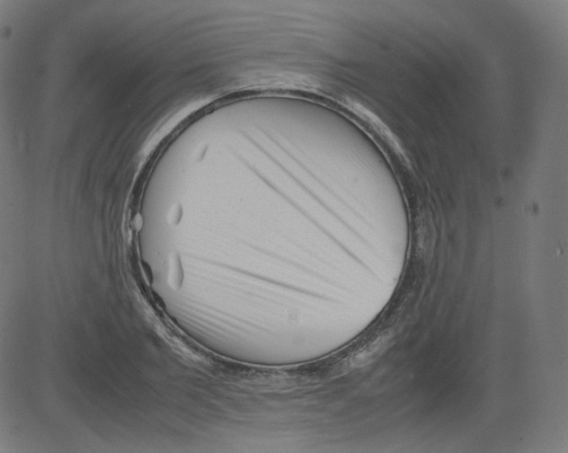 X0000081430885200702092157