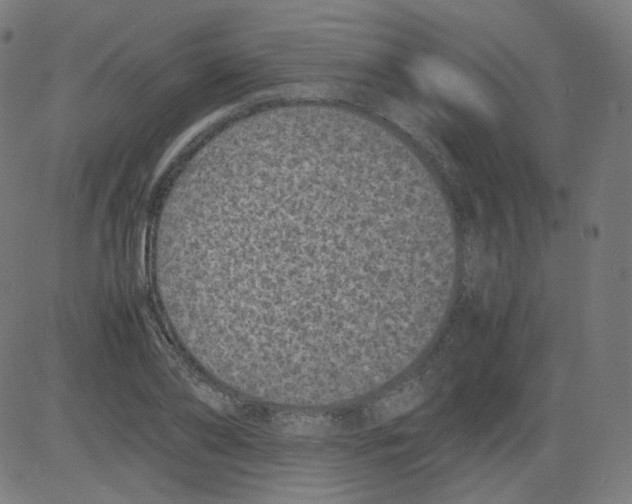 X0000081430886200702092157