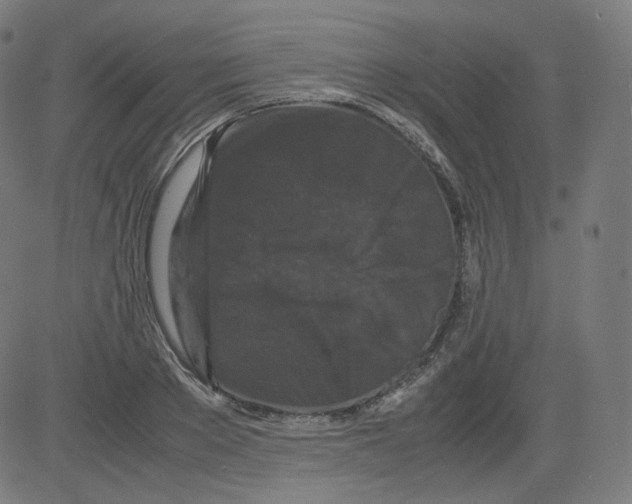 X0000081430889200702092157