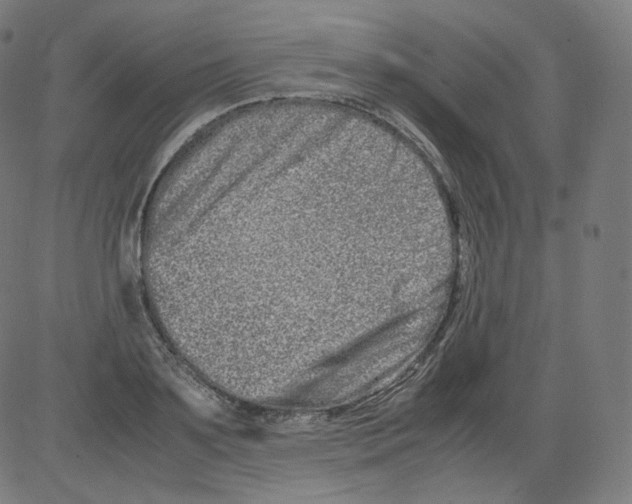 X0000081430891200702092157