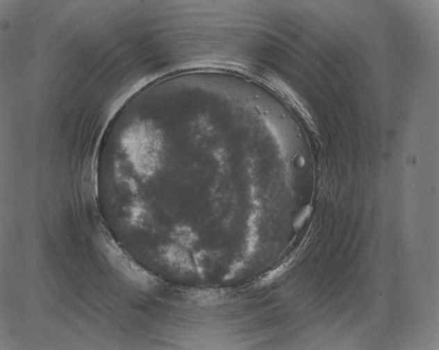 X0000081430892200702092157