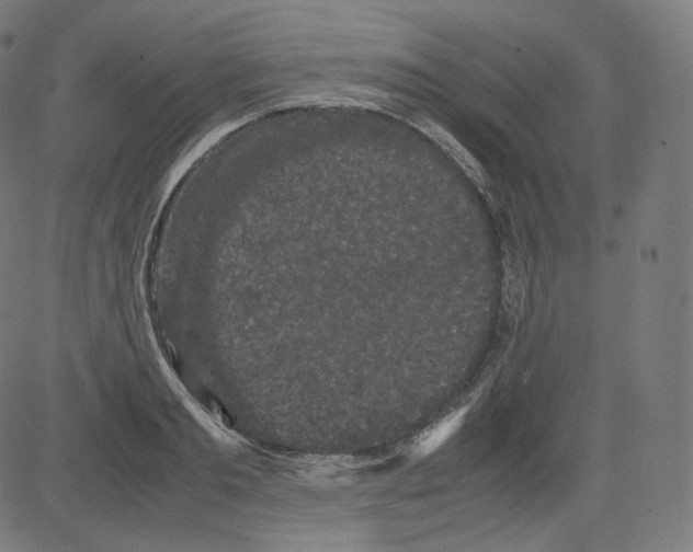 X0000081430893200702092157