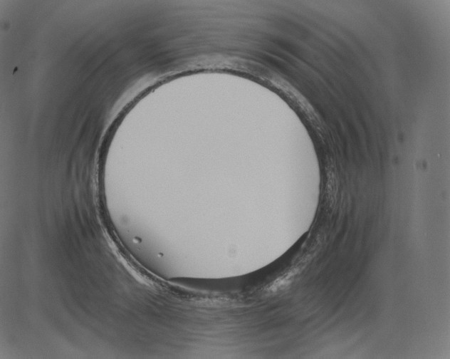 X0000081430894200702092157