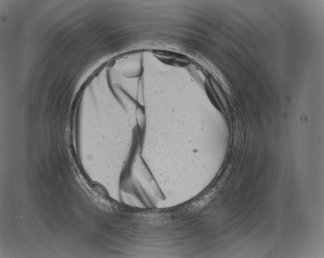 X0000081430896200702092156