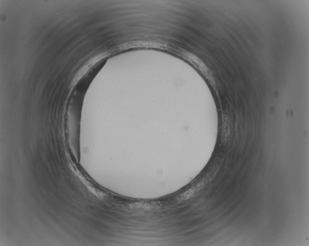 X0000081430898200702092156