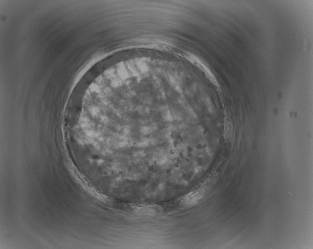 X0000081430899200702092156