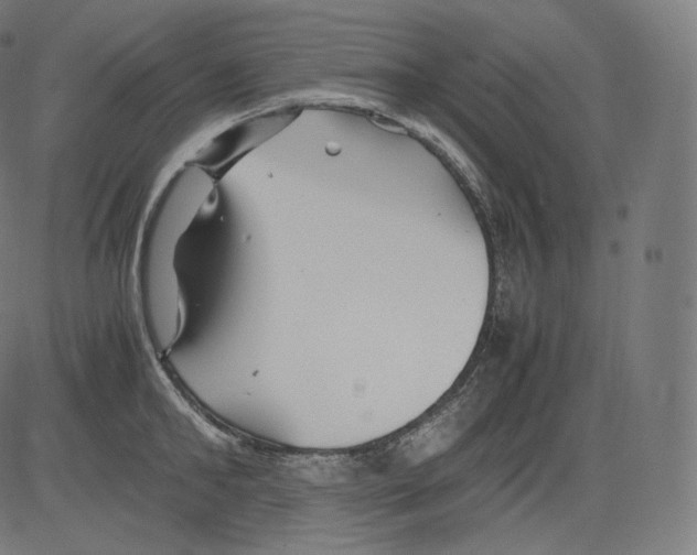 X0000081430902200702092156