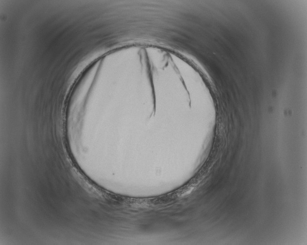 X0000081430903200702092156