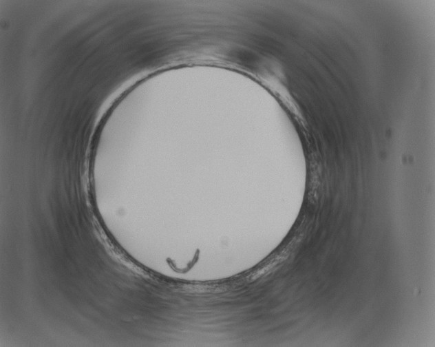 X0000081430904200702092156