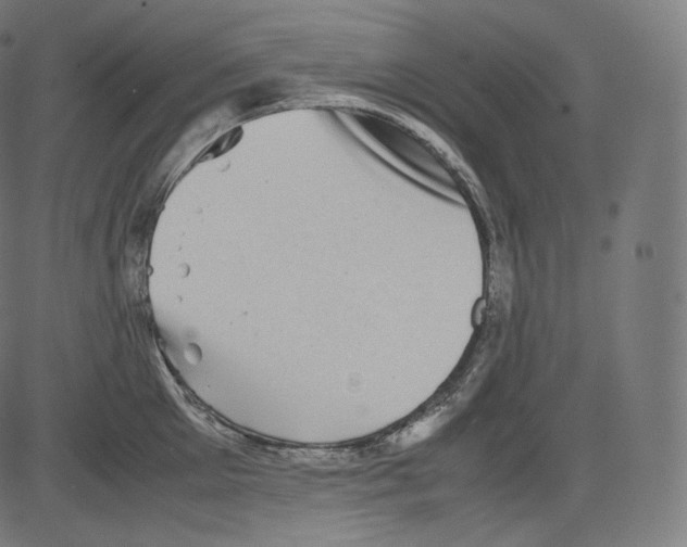 X0000081430905200702092156