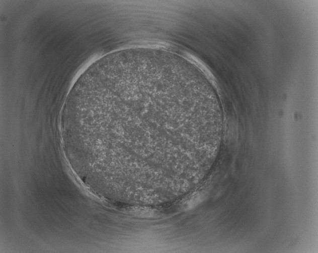 X0000081430907200702092156