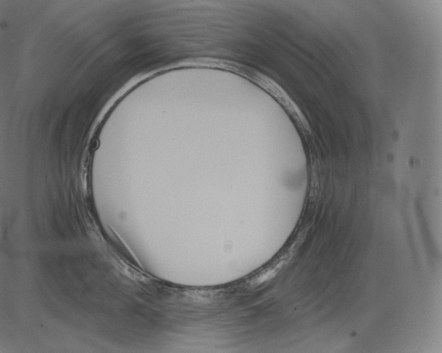 X0000081430908200702092156