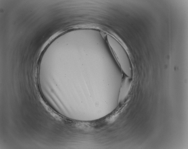 X0000081430909200702092156