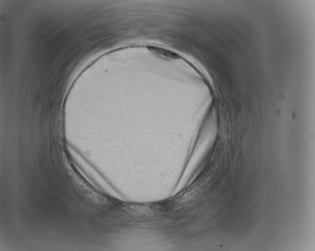 X0000081430911200702092156