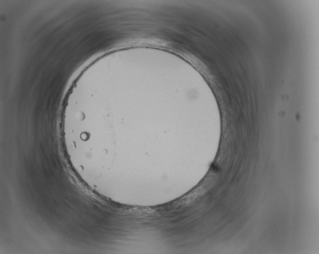 X0000081430912200702092156