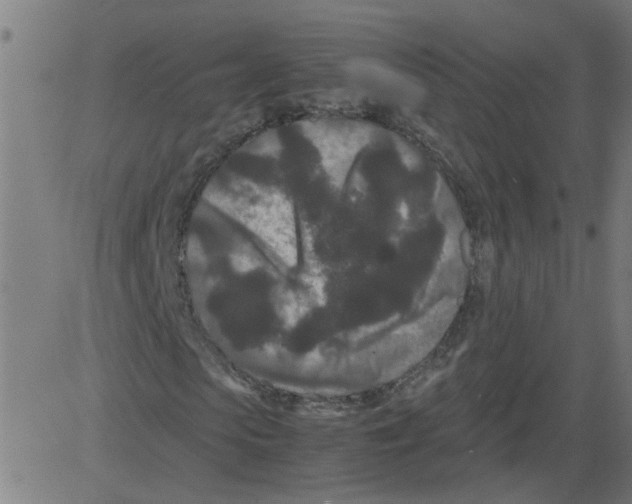 X0000081430913200702092155