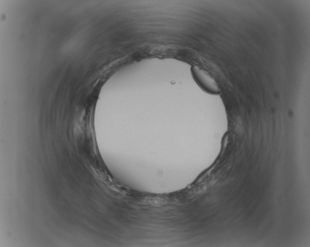 X0000081430914200702092155