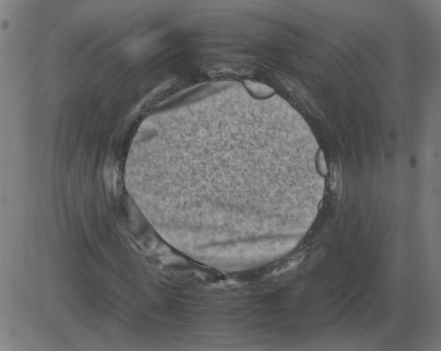 X0000081430915200702092155