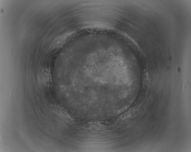 X0000081430918200702092156