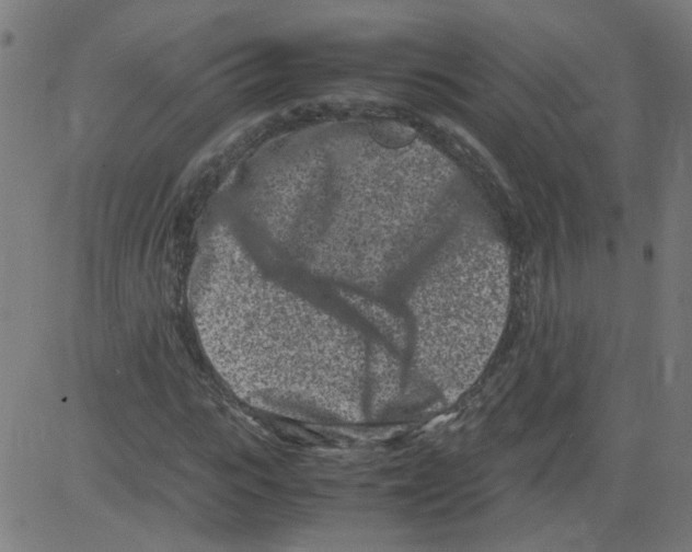 X0000081430919200702092156