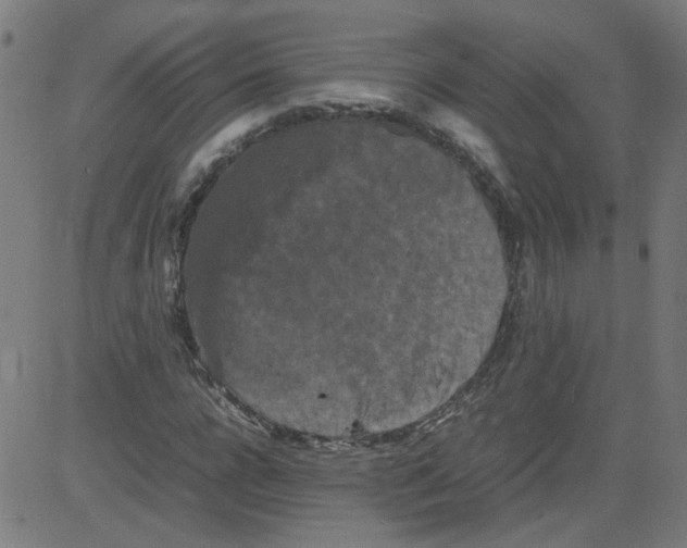 X0000081430920200702092156