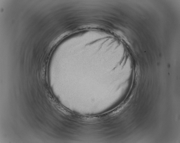 X0000081430921200702092156