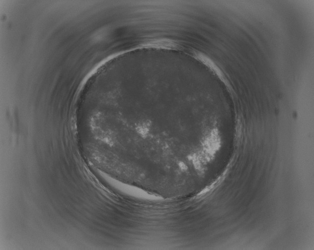 X0000081430923200702092156