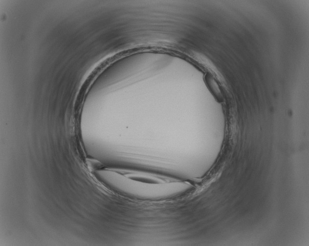 X0000081430924200702092156