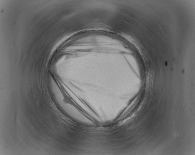 X0000081430925200702092156