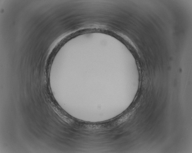 X0000081430927200702092156