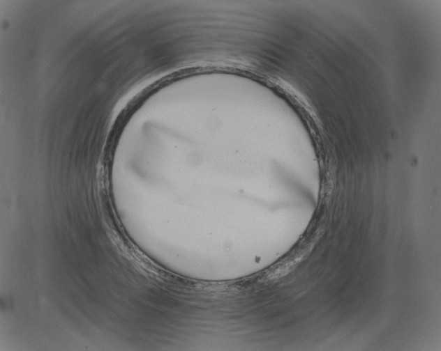 X0000081430928200702092156