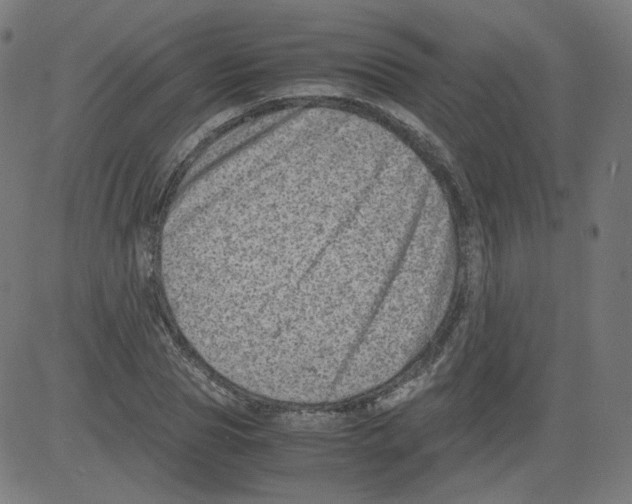 X0000081430929200702092156