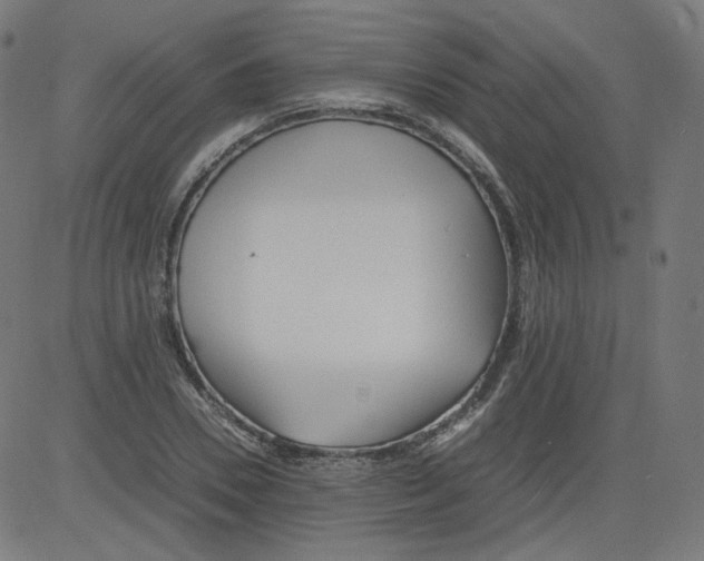 X0000081430930200702092156