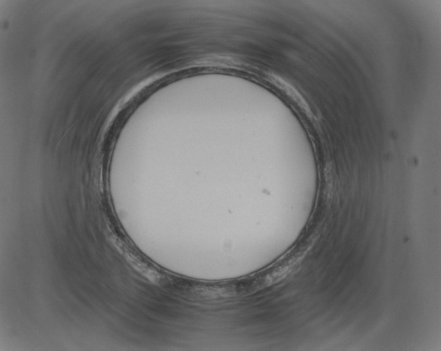 X0000081430931200702092156