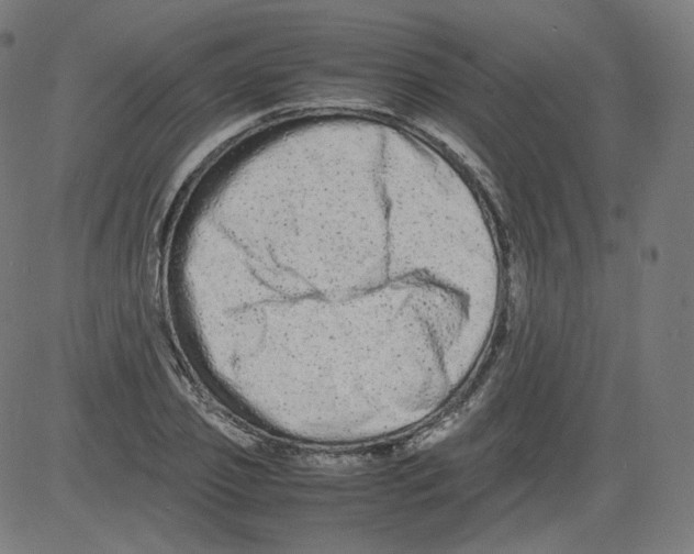 X0000081430933200702092156