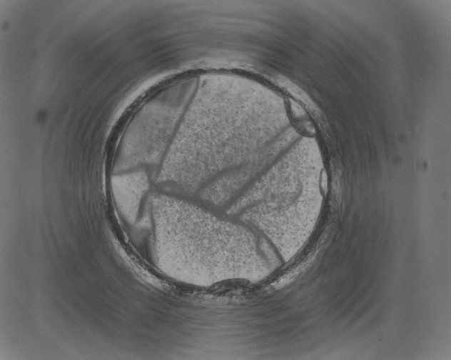 X0000081430934200702092156