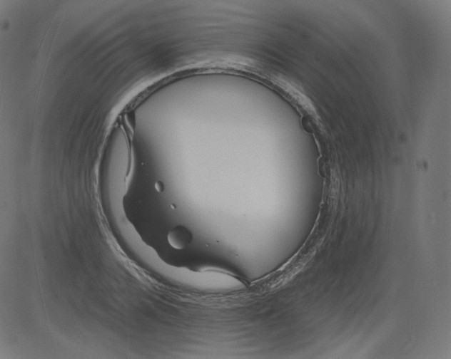 X0000081430936200702092156