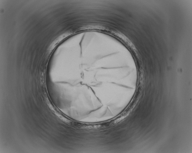 X0000081430937200702092156