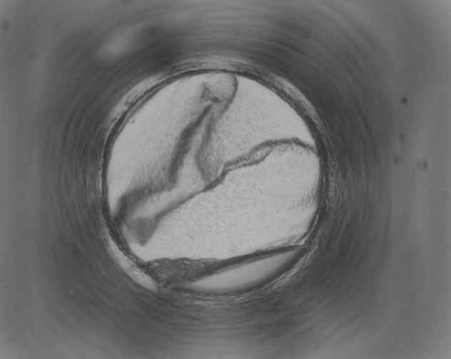 X0000081430938200702092156