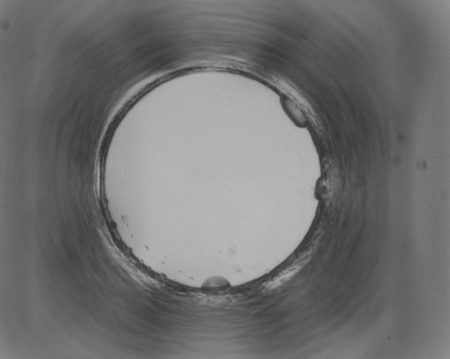 X0000081430940200702092156