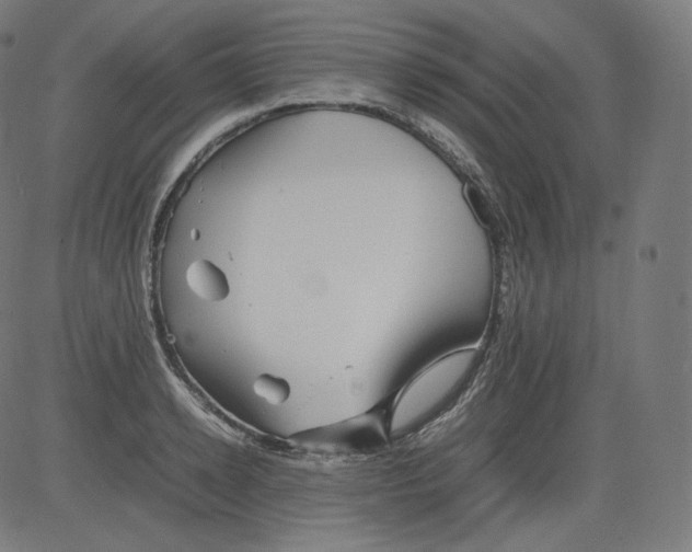 X0000081430942200702092156