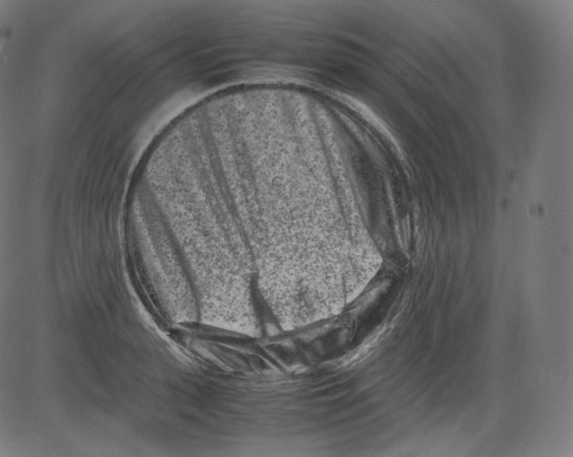 X0000081430943200702092156