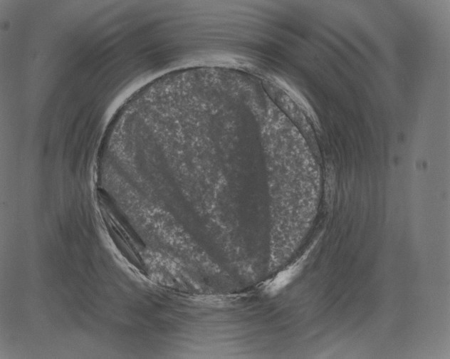 X0000081430944200702092156