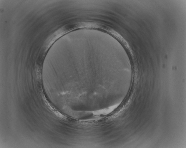 X0000081430945200702092156