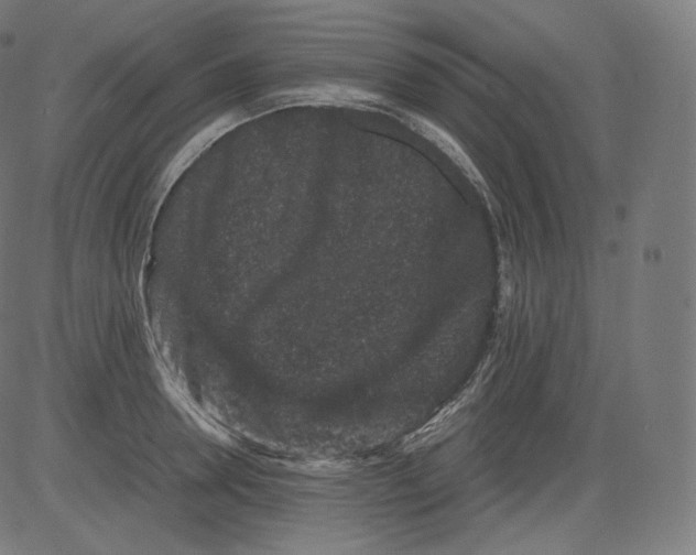 X0000081430946200702092156