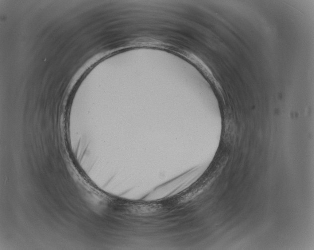 X0000081430947200702092156